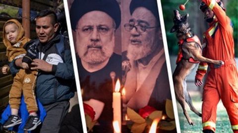 Amerikaga o&lsquo;tish yo&lsquo;lini topgan migrant, UTTda tekshirilayotgan ayiq, prezident bilan vidolashuv &mdash; 21-may suratlari