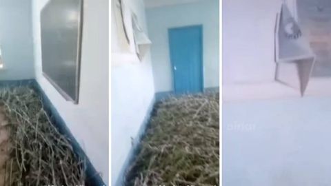 Qashqadaryodagi kollej binosi pillaxonaga aylantirildi. Direktor pilla rejasini shu tarzda ado etayotganini aytmoqda