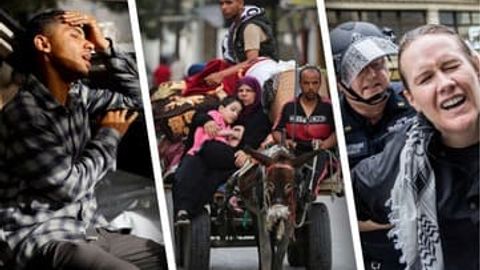 Namoyishga chiqqan taksichilar, plyajda poklanayotganlar, otasining qabri yonida yotgan bolalar &mdash; 28-may suratlari&nbsp;