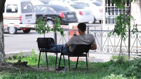 Качество воздуха в Ташкенте соответствует рекомендациям ВОЗ