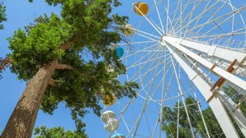 Ўзбекистонда ҳаво ҳарорати 37 даражагача кўтарилиши кутилмоқда