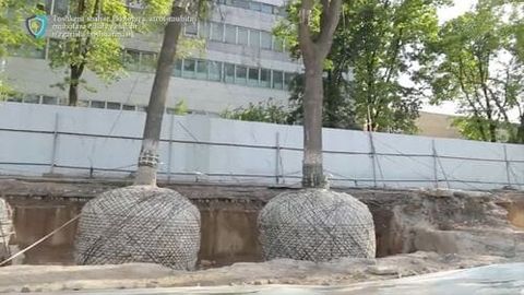 Sobiq MXX binosi hududidagi daraxtlar ko&lsquo;chirilishi yuzasidan jinoyat ishi qo&lsquo;zg&lsquo;atildi&nbsp;