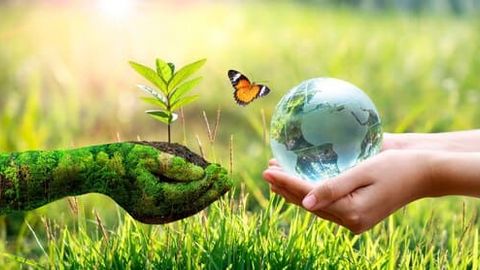 Central Asian companies urged to adopt new IFRS sustainability standards