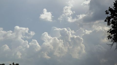 Ўзбекистоннинг айрим ҳудудларида 12 июнь куни қисқа муддатли ёмғир ёғиши мумкин