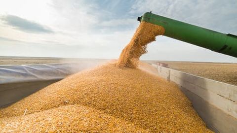 Uzbekistan's SAMA secures $32mn from grain company sales