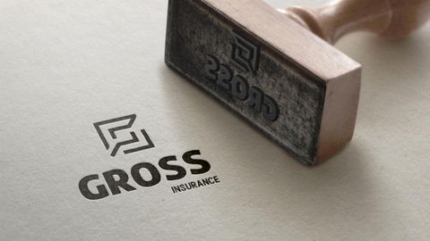 Fitch Ratings reaffirms Gross Insurance's 'B+' IFS Rating, outlook stable