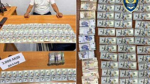 Бухоро ва Қашқадарёда “валютчик”лар ушланди