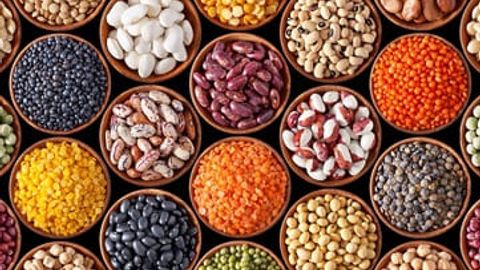 Aldi изучит возможность импорта узбекистанских бобовых культур в Венгрию 