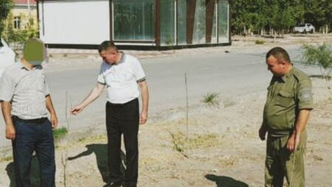 Xorazmda daraxtlarga o&lsquo;z vaqtida agrotexnik talablar bajarilmagani uchun ma&rsquo;sullar jarimaga tortildi&nbsp;