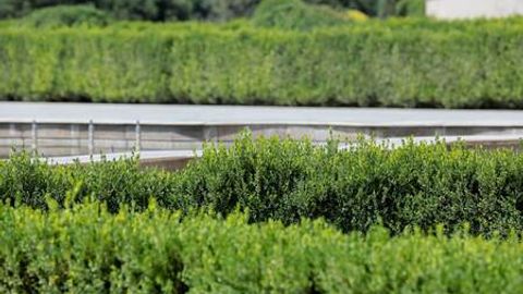 O&lsquo;zbekistonda bo&lsquo;sh yer uchastkalaridan samarali foydalanish bo&lsquo;yicha qaror qabul qilindi