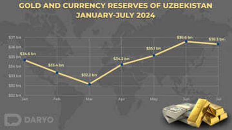 Uzbekistan's international reserves decline by $293.7mn in June&nbsp;