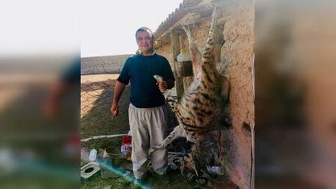 Сурхондарёда ноёб сиртлон ўлдирилгани айтилмоқда