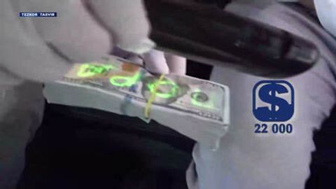 Toshkentda fuqaroni IIV akademiyasiga o&lsquo;qishga kiritishni va&rsquo;da qilgan shaxs ushlandi