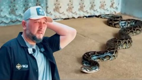 &ldquo;Vaqf&rdquo; fondi rahbari o&lsquo;rinbosari Sardor Rahimxonga duch kelgan piton Namangandagi hayvonot bog&lsquo;iga tegishli bo&lsquo;lib chiqdi