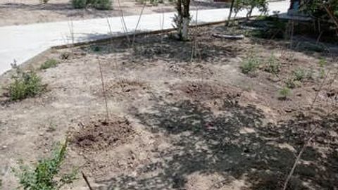 Navoiyda 53 nafar mas&rsquo;ul 180 million so&lsquo;mdan ortiq jarimaga tortildi&nbsp;