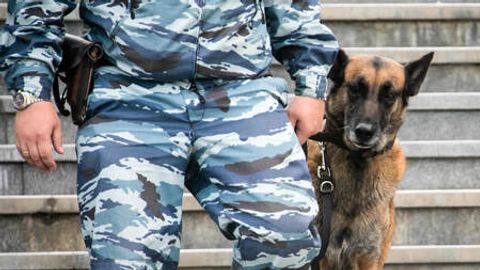 Rossiyada O&lsquo;zbekiston migrantlari ishtirokida mushtlashuv yuz bergani aytilmoqda