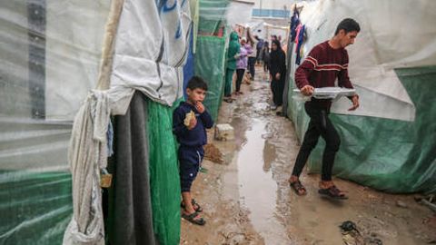 Ғазо секторида полиомиелит эпидемияси бошланди&nbsp;