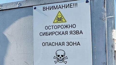 Қозоғистонда куйдирги эпидемияси авж олди&nbsp;