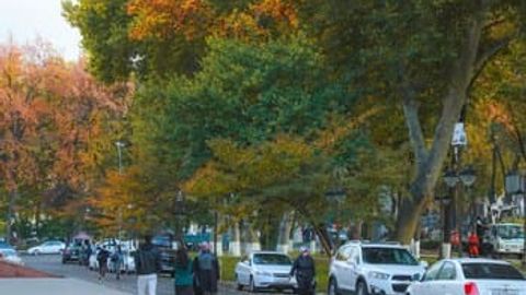 Пробация назоратидаги шахсга нисбатан электрон браслет қўлланади
