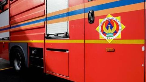 Toshkentda sodir bo&lsquo;lgan yong&lsquo;in oqibatida daraxtlarga jiddiy zarar yetdi&nbsp;