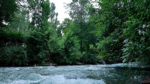 O&lsquo;zbekistonda dam olish kunlari nisbatan salqin havo bo&lsquo;ladi
