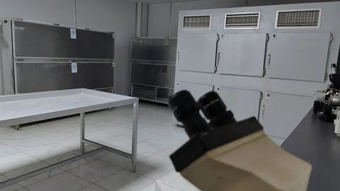 Хитойда ўликхонадан 4 мингдан ортиқ жасадлар ўғирлаб кетилгани аниқланди