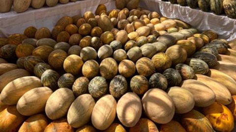 Melon madness: Khiva&rsquo;s juicy festival celebrates Uzbekistan&rsquo;s sweetest treasures