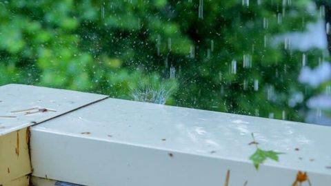 “Ўзгидромет” дам олиш кунлари ёғингарчилик эҳтимоли бор ҳудудларни маълум қилди