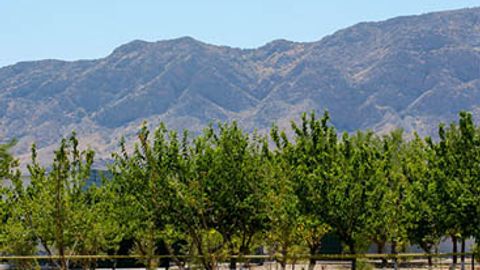 O&lsquo;zbekistonda hafta davomida harorat asta-sekin ko&lsquo;tariladi&nbsp;