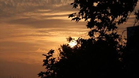 Ўзбекистонда 14 август куни қандай об-ҳаво бўлиши маълум қилинди