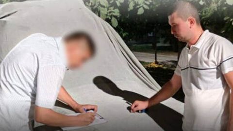 Тошкентда фуқаро битта дарахтни кесгани учун 17 млн сўм жарима тўлайдиган ва 100 та кўчат экадиган бўлди&nbsp;&nbsp;