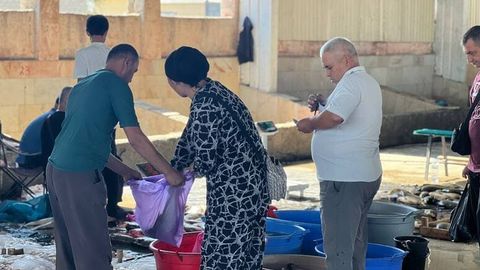 5 mingdan 50 ming so&lsquo;mgacha: Chinozdagi baliq bozoridan reportaj&nbsp;&nbsp;