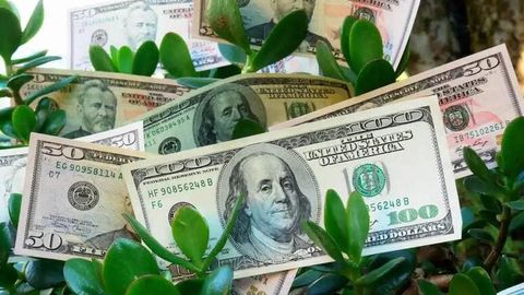 NAPP registers Uzbekistan's first green bond issuance worth almost $4mn&nbsp;