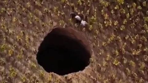 Turkiyadagi dalada ulkan o‘ra paydo bo‘ldi (video)