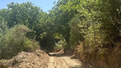 &ldquo;Omonqo&lsquo;ton&rdquo; milliy tabiat bog&lsquo;ida tabiatga 1,1 mlrd so&lsquo;m zarar yetkazildi&nbsp;