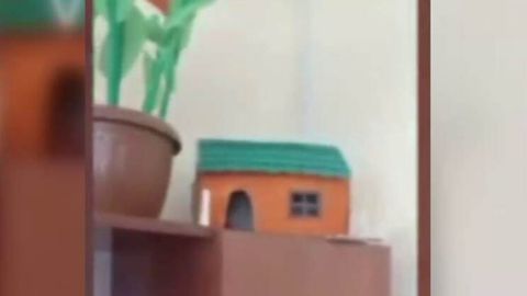 Фарғонадаги маҳорат марказида яширин кузатув камераси ўрнатилгани аниқланди (видео) 