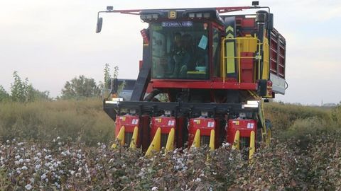 O&lsquo;zbekistonda paxta mavsumida ilk bor qariyb 1700 ta terish mashinasi qatnashishi kutilmoqda