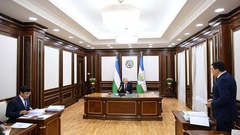 O&lsquo;zbekistonda daraxtlarni kesish va qasddan quritish uchun jarimalar oshiriladi&nbsp;