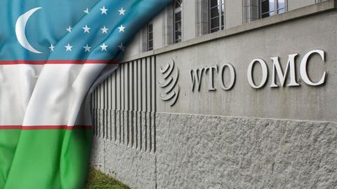 O&lsquo;zbekiston qarshisidagi strategik dilemma: Yevrosiyo iqtisodiy ittifoqi ambitsiyalari va JSTga a&rsquo;zolik&nbsp;