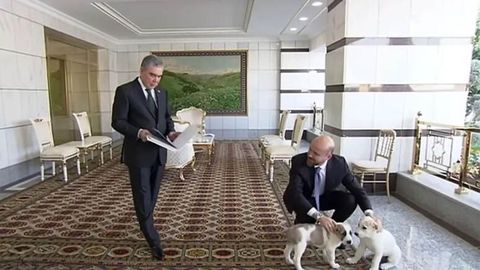 Gurbanguli Berdimuhamedov Turkiya prezidenti o&lsquo;g&lsquo;liga itlar sovg&lsquo;a qildi