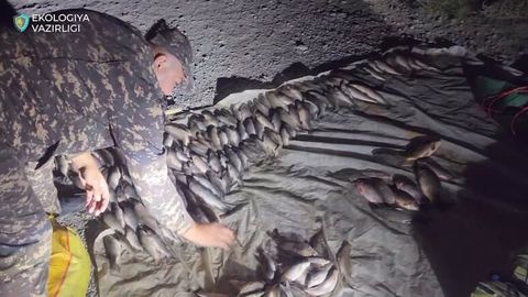 Navoiyda noqonuniy baliq ovlagan shaxslar tabiatga 6,3 mlrd zarar yetkazdi