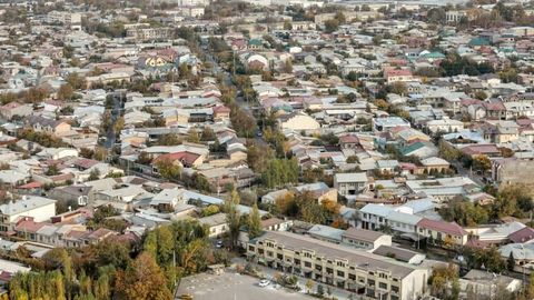 O&lsquo;zbekistonda 2 nafar bolali uy xo&lsquo;jaliklar eng ko&lsquo;p ulushni tashkil etadi