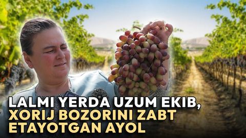 Yiliga 250 tonna uzum eksport qiladi, yozda kuniga 5 ming dona suv sotadi, qog&lsquo;ozni qayta ishlaydi: zarkentlik Gavhar Rizayeva bilan suhbat&nbsp;