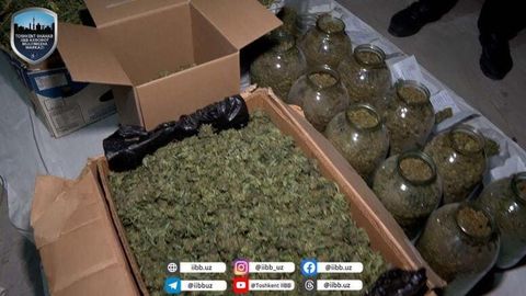 Тошкентнинг икки туманида гиёҳвандлик моддаси сақлаётган шахслар ушланди&nbsp;