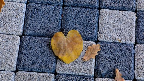 &ldquo;Ўзгидромет&rdquo; ҳафта бошида қандай об-ҳаво кутилаётганини маълум қилди&nbsp;