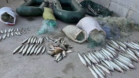 Toshkent viloyatida noqonuniy tarzda baliq ovlagan shaxslar tabiatga 42 mln so&lsquo;m zarar yetkazdi