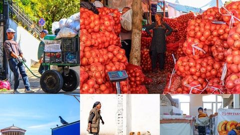 Foto: Rang-barang, gavjum va koloritli Chorsu bozorining dam olish kunidagi hayoti