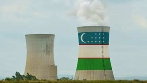 "Nuclear power is a strategic investment for Uzbekistan,&rdquo; declares Uzbek Official