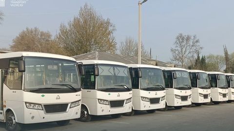 Toshkent viloyati uchun 1000 ta yangi avtobus xarid qilinadi