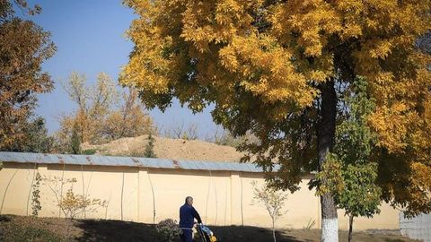 O&lsquo;zbekistonda dam olish kunlari harorat ko&lsquo;tariladi